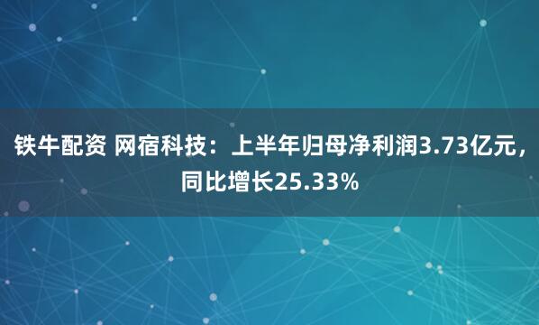 铁牛配资 网宿科技：上半年归母净利润3.73亿元，同比增长25.33%